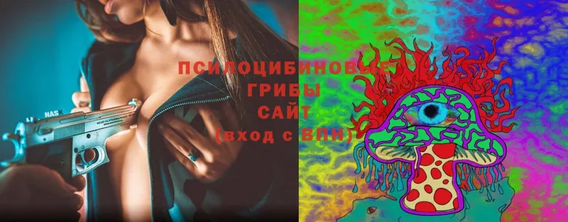 Галлюциногенные грибы Psilocybe  Шлиссельбург 